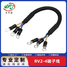 RV2-4端子线 电机驱动线束 小家电内部导线端子线 2p红黑电子线