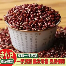 ��С�������ء���؛�|���r���L���t�ඹС�t��޲������С�ඹ���l