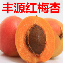 Ә޽Խ̫ӱͥԺӘ箔Y