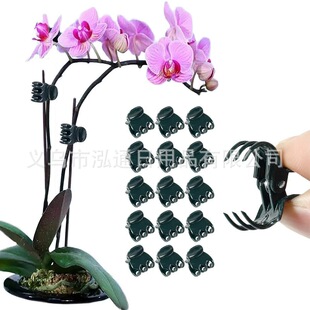 �羳���l���@ֲ��Aֲ��޽�֧�ΊA���ۼ޽ӻ��@������ߺ����m�A