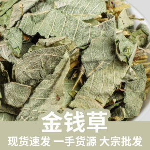 ���X�����l ��؛С�~���X�� ���~���X�ݏV ���X�� ����ă�