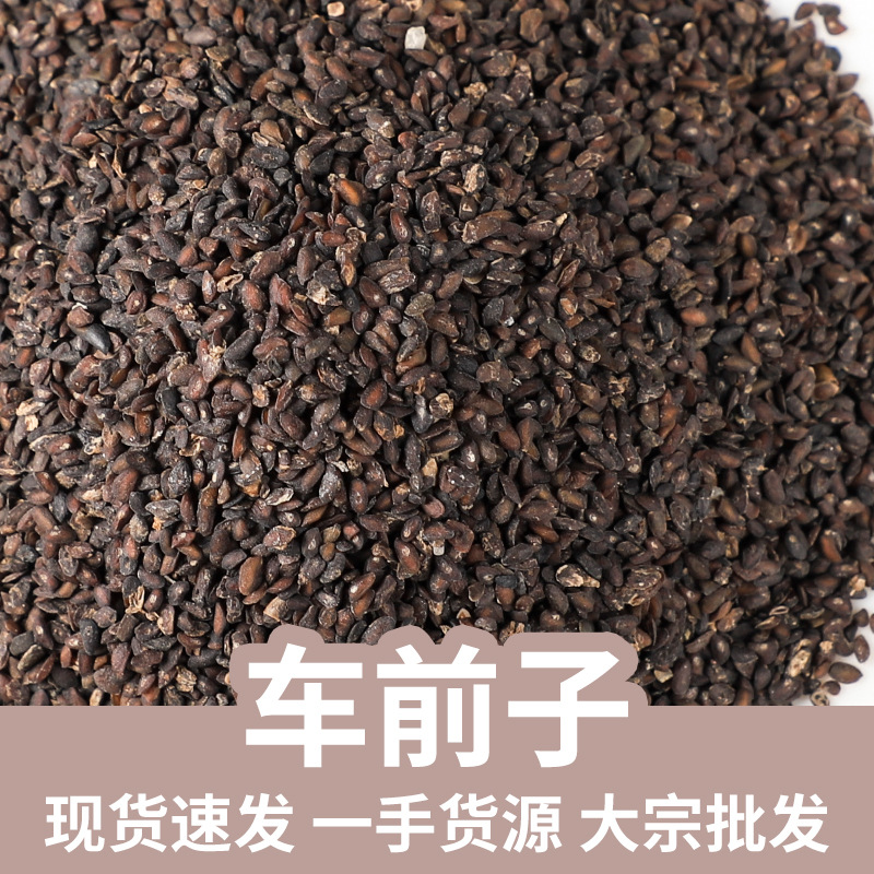Plantain Seed Che Qian Zi 500g Dried Seeds for Tea and Decoction key features