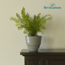 秋海棠多肉快跟植物塑料花盆黑胶环保热植植物专用树脂加厚小花盆