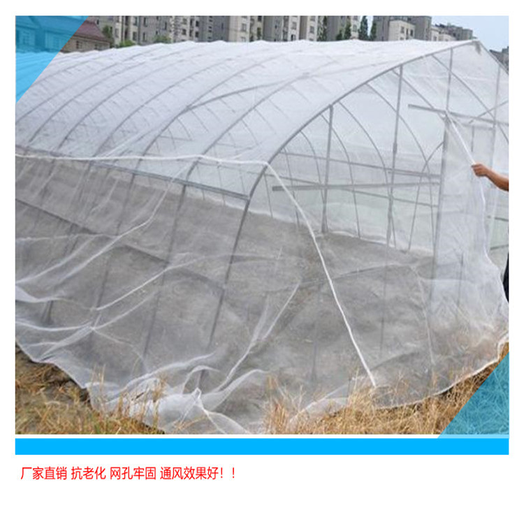 宜豪美牌高密度40目50目防虫网加厚耐磨尼龙纱网PE白菜防虫网
