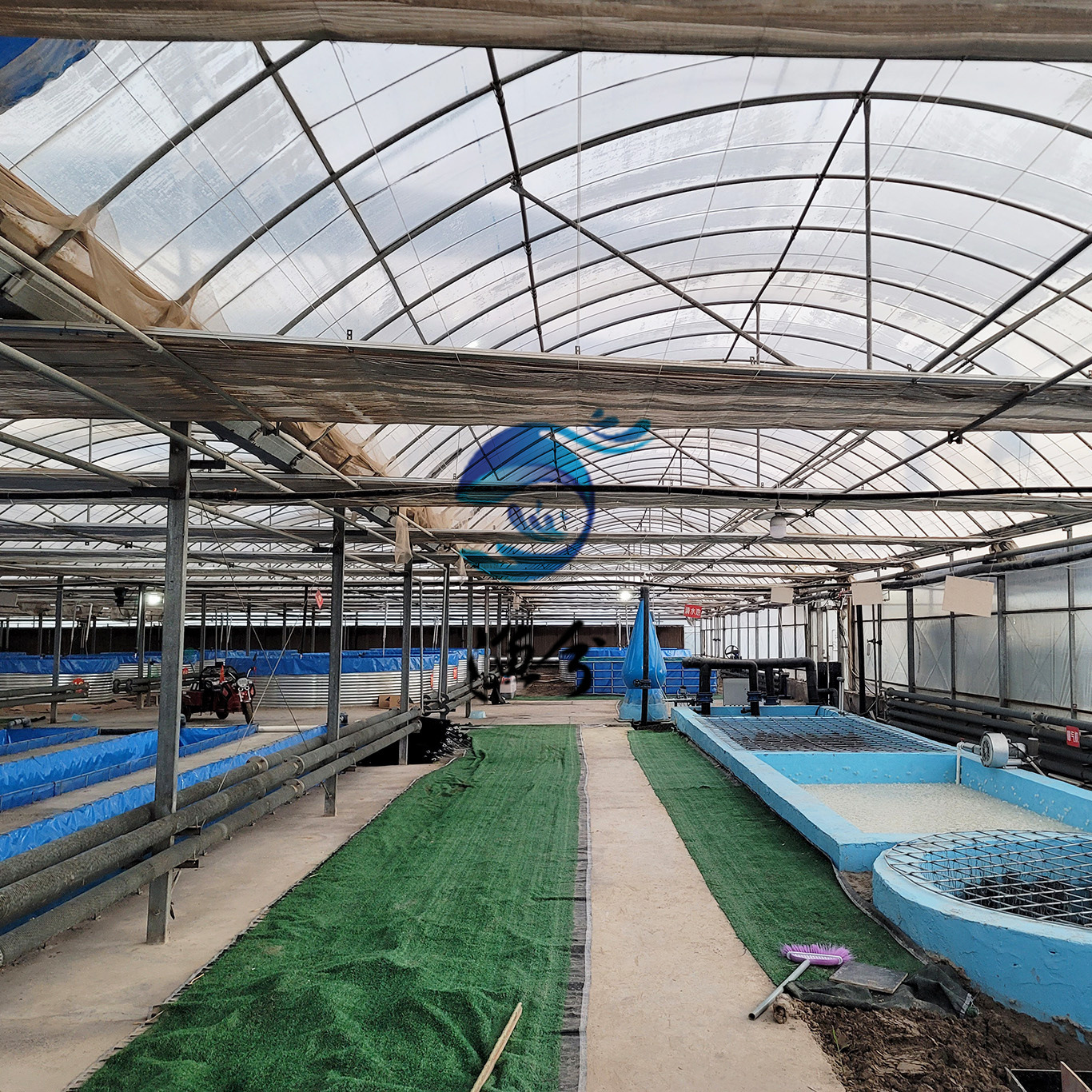 高密度四大家鱼循环水养殖系统、四大家鱼智能工厂化循环水设备