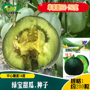 �G����ϷN�� �r��ˈ@�GƤ�������Y���෼���O���������