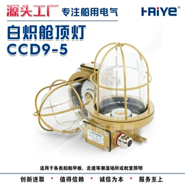 其他专用灯具;投光灯;防爆灯