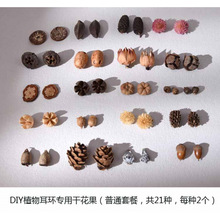 ֲhȻɹϹDIYςԄС