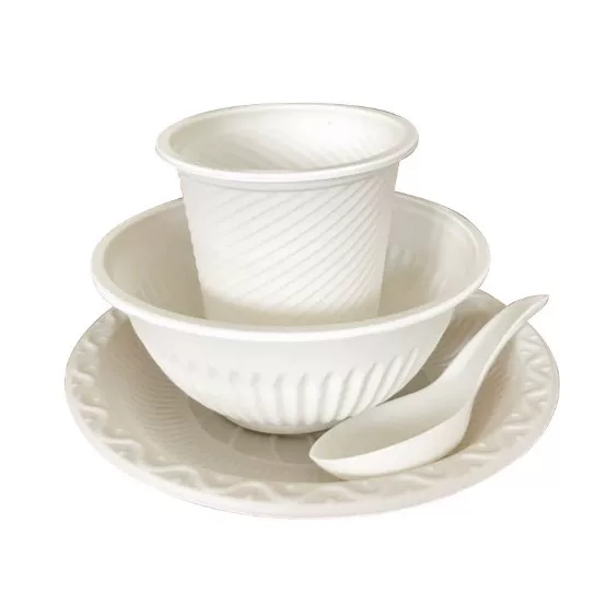 Disposable tableware, set, 4 piece set