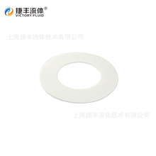 �ݷ�����JF-300 PTFE���ķ���ϩ��Ƭ18*8*2mm