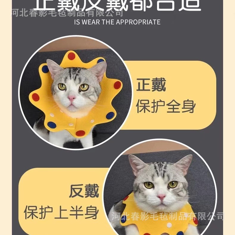 2024-07-16 08:33:06.jpg