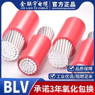 ������ˆ�Ƥ����X��BLV10 16 25 35 50 70 95120ƽ������늾�