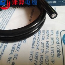 �S��ֱ�N �͵͜���| ��������40�ȷ�����|Ұ��̽�y��|�۰���