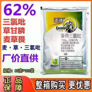 �w砲ݸ�����������������η�ݸ�좳��݄��JȔ�����_���s�ݠ�����