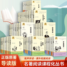 【世界名著青少版】百部名著系列 绿野仙踪 爱的教育 巴黎圣母院