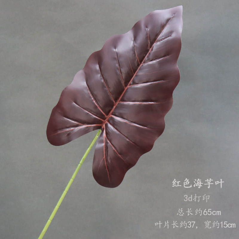 붉은 칼라 백합 잎