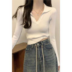 白色V领针织打底衫女春秋设计感小众内搭毛衣修身短款polo领上衣