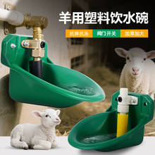 塑料羊用饮水碗阀门饮水器羊自动饮水碗铸铁水碗饮水槽抗摔碰养殖