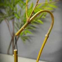 �ֹ������������ ��������� ���ӵ������� ���^����ܲ�������