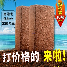 Ҭ��Ҭ�u�I�B���M�ڵ��}Ү�u�N����Ҭ�u˼�����N���B���N��СҬ�u