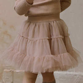 2025秋款新品草莓珊韩国儿童女孩2色蓬蓬软纱半身裙现货