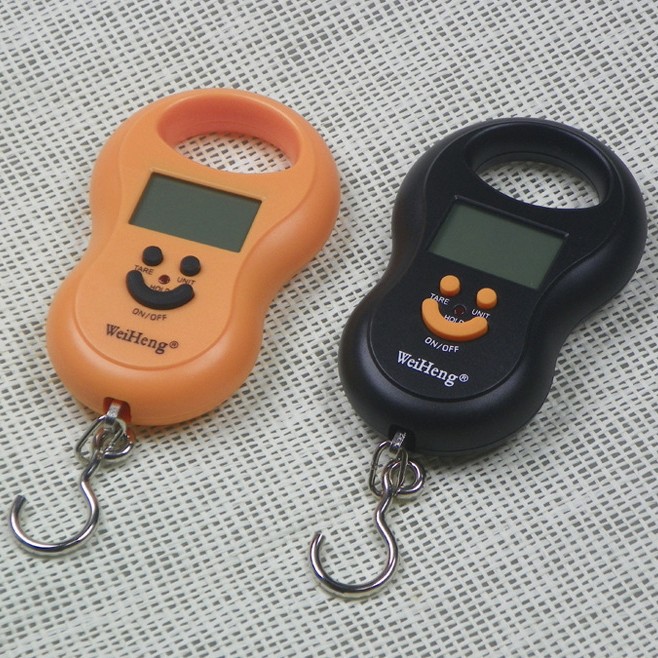 便携式电子手提秤 吊钩称 家用 弹簧称 50KG 买菜称