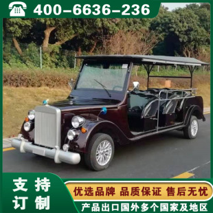 Oil-Burning Sightseeing Car Shaanxi Xi'An Gansu Lanzhou Sightseeing Train with Optional Closed Door