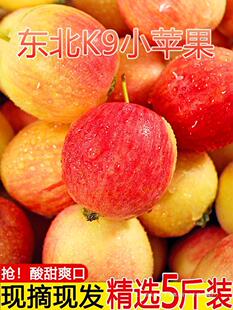 YF���r�ЋDС�O�����]�Fժ���5ɳ���������亣�Ĺ�ˮ������|��k