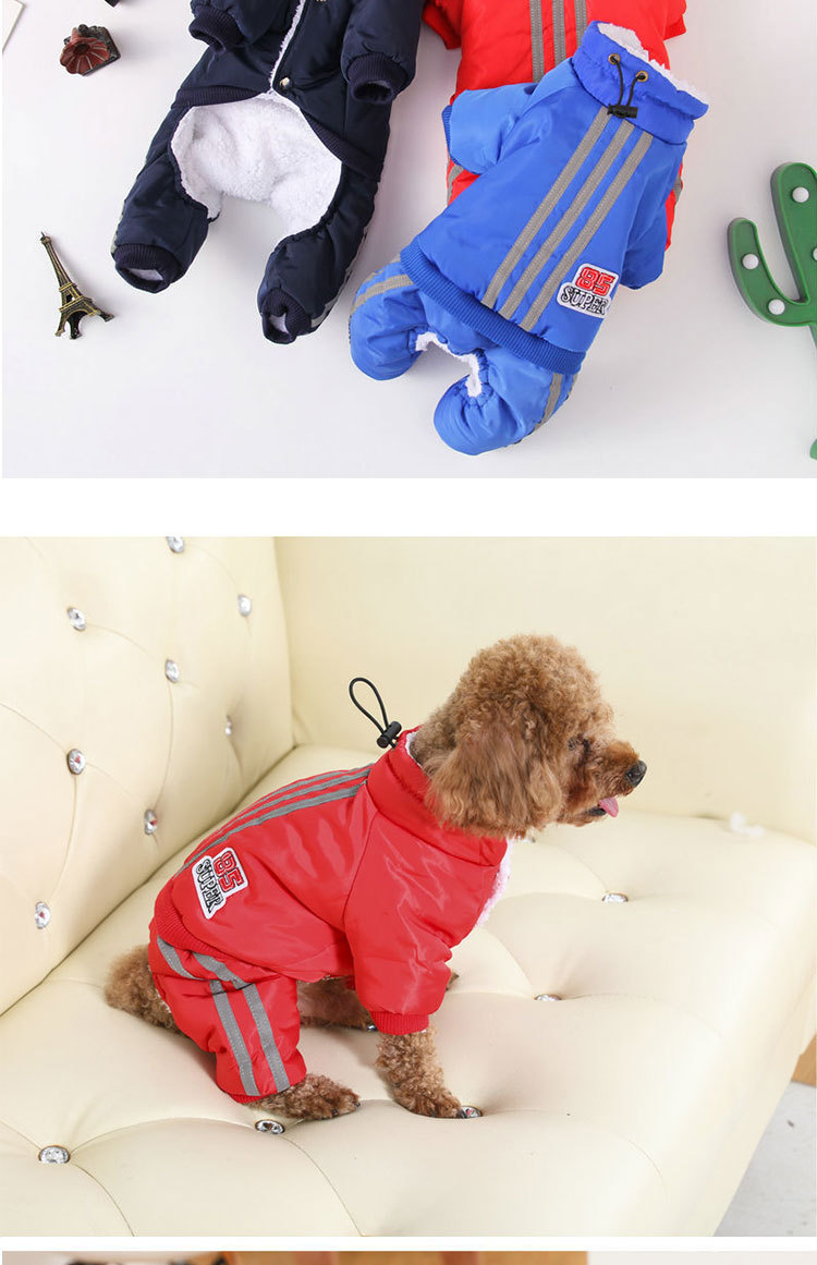 ?物衣服新款