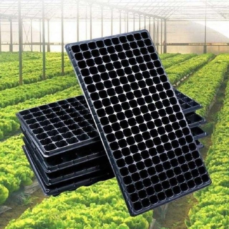 Seedling tray for tomato and pepper, cell trays, succulent leaf cutting box, vegetable seedling tray, strawberry cultivation pot