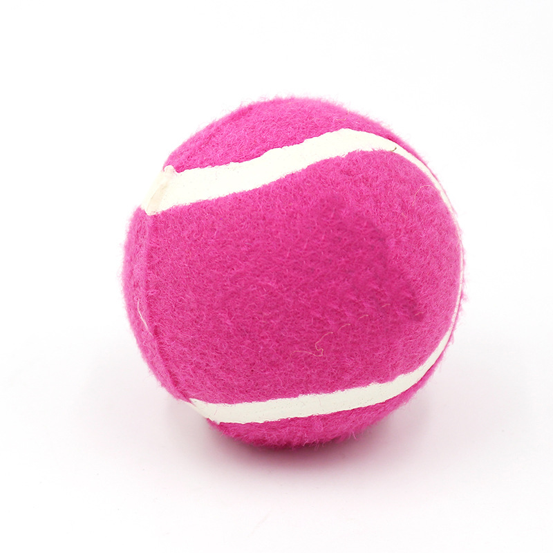 Perro de tenis de juguete de tenis de alta elasticidad perro mordedura pelota de peluche Golden Retriever perro entrenamiento interactivo mascota de tenis de juguete