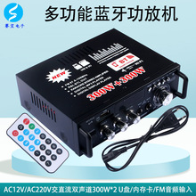 �������Ż����ô������������¿�HIFI˫����300WС��12V