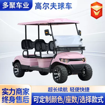 Dewu Junheng Electric Sightseeing Car, Elektrikli qolf avtomobilləri