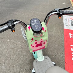 電気自動車のフロント収納バッグ、バッテリーカーの収納用小型吊り下げバッグ、Yadi No.9 Emma