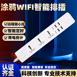 智能插座;智能排插