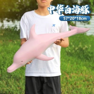 ���������߷��滢���{�L�������������ģ����߳��ЙC���YƷ