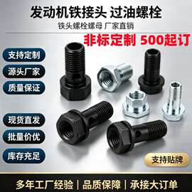 发动机铁接头非标 过油螺栓 铁头螺栓螺母厂家定 制