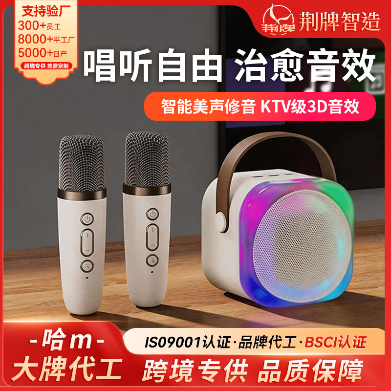 定制H12蓝牙音箱一体机卡拉便携唱歌迷你无线音响K歌便携式