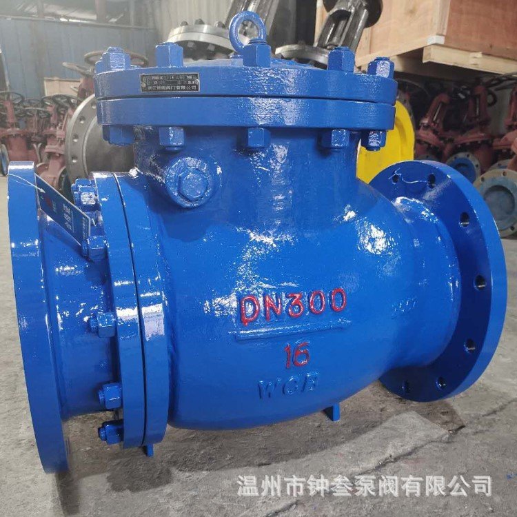 PH44TC-10C 陶瓷止回阀 耐磨陶瓷排渣止回阀 耐磨陶瓷止回阀 DN50