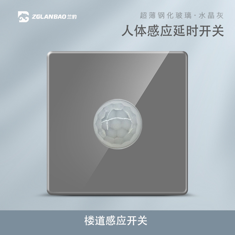 Human body induction switch