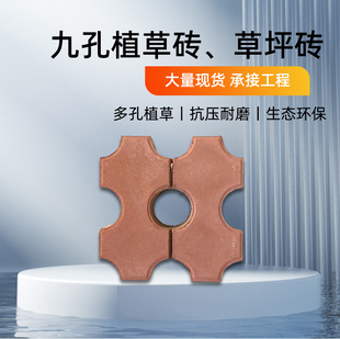 ���S�ҹ����G��������ֲ�ݴuͣ܇���ؾ��ֲ�ƺ�u�h��͸ˮ