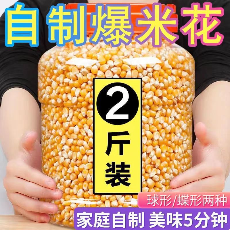 Popcorn Corn kernels 2 Popcorn Dedicated Corn grain Burst Corn household Corn The wholesale price of 1