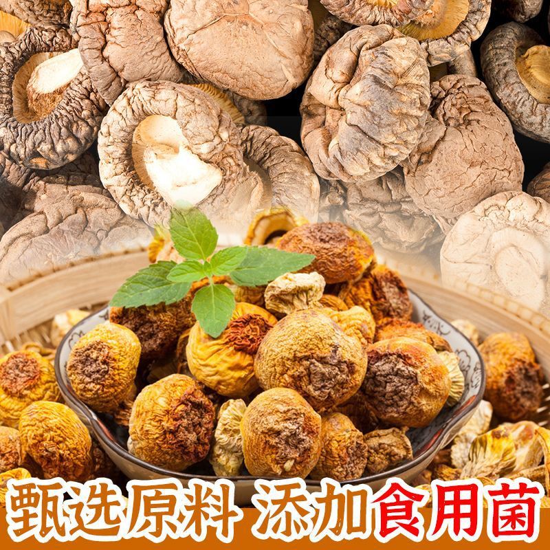 重庆菌汤火锅底料50g独立小包装清汤不辣鸳鸯底料麻辣烫餐饮批发|undefined