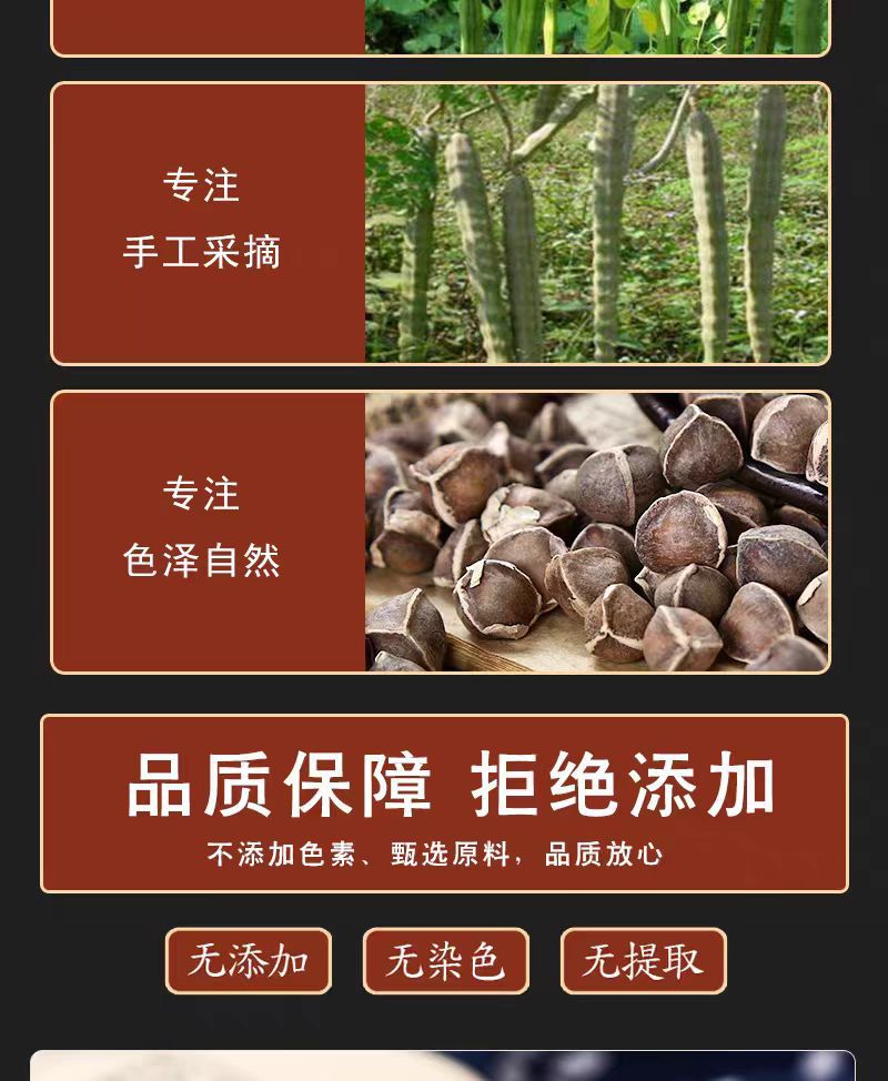 Moringa Seeds (Moringa oleifera) — Dried Food-Herb Seeds, 500g Yunnan Origin key features