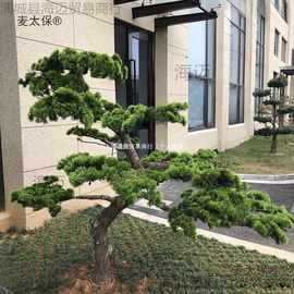 仿真松树枝松针假罗汉松美人松柏树枝松树叶黑松崖柏枝迎客垒德株