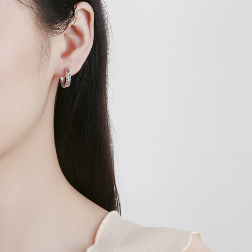 s925 sterling silver Pixiu earrings for men and women to attract wealth and transfer ins trendy niche design high-end three-dimensional hollow earrings