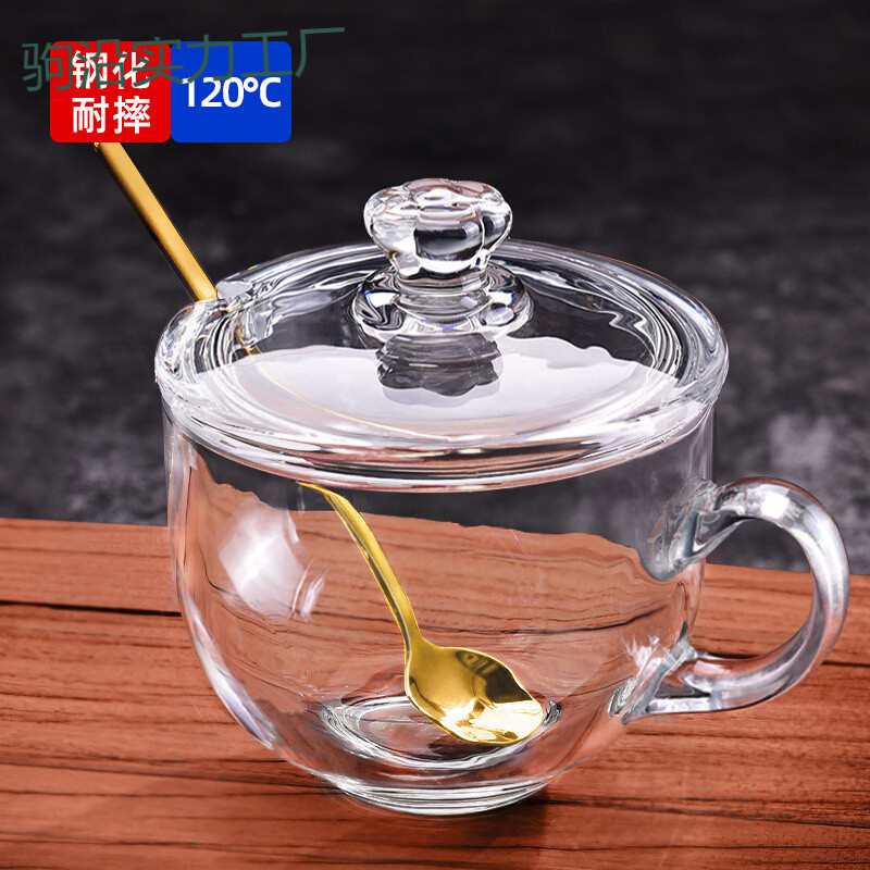 TT 대용량 유리 오트밀 우유 아침 식사 컵 뚜껑이 있는 물컵과 숟가락이 있는 오트밀 그릇 여성용 커피