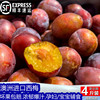 Prunes fresh fruit Australia Imported Prunes pregnant woman Plum fruit Season Plums Prunes One piece On behalf of