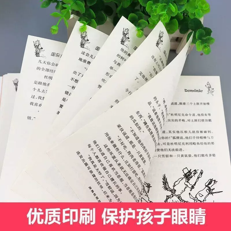 Красивая собака Доминик Международная премия Новелл Xinlei Publishing House обязательная к прочтению внеучебная литература для третьего и четвертого классов начальной школы