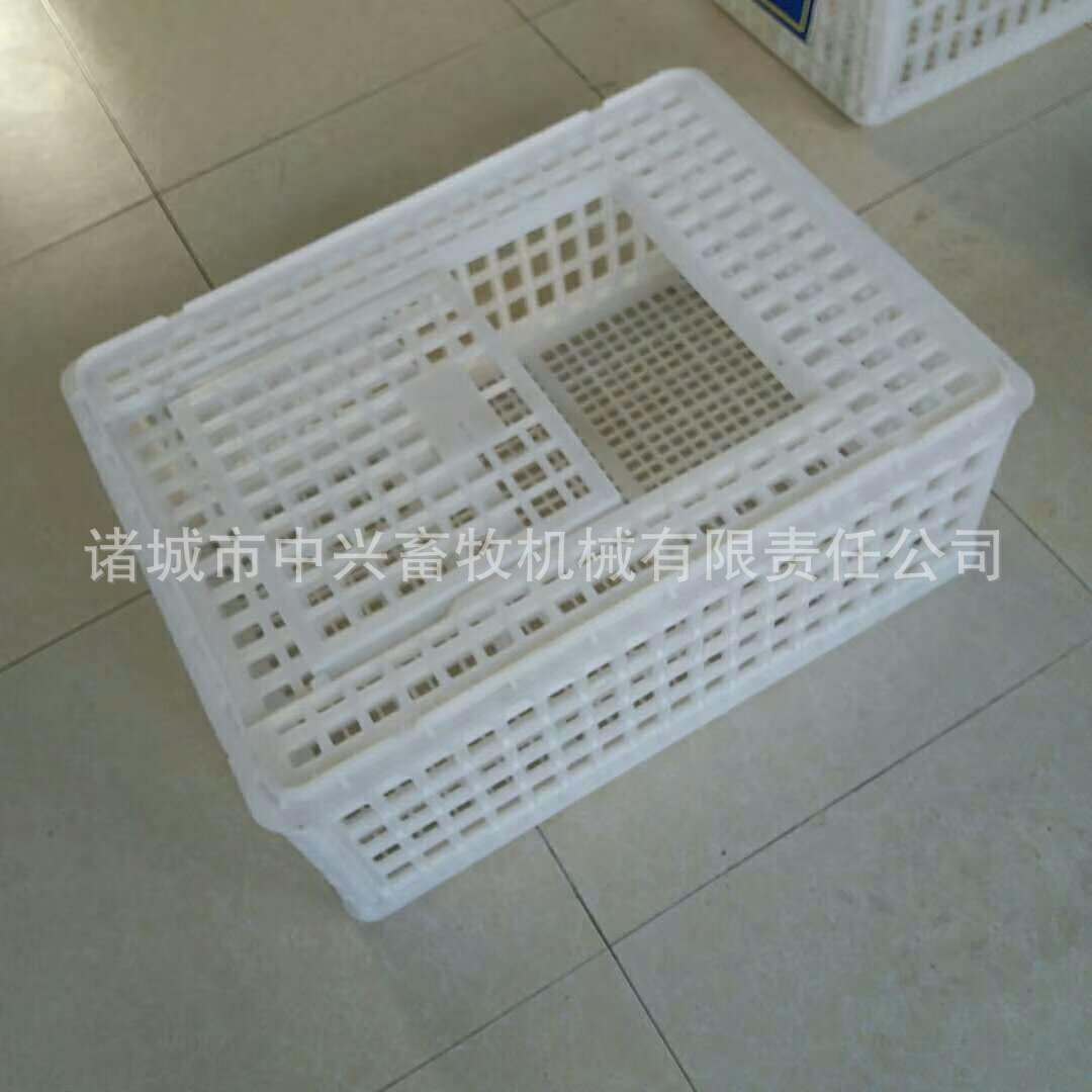 成鸡周转箱  鸡蛋周转箱批发	拉鸡笼厂家拉运鸭笼价格